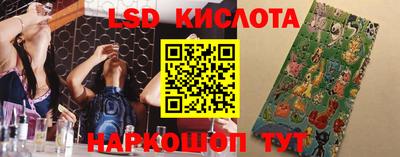 mdpv Кандалакша